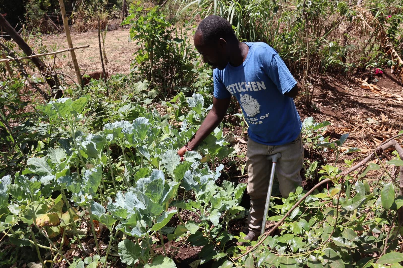 Reducing Child Malnutrition in Tharaka Nithi County