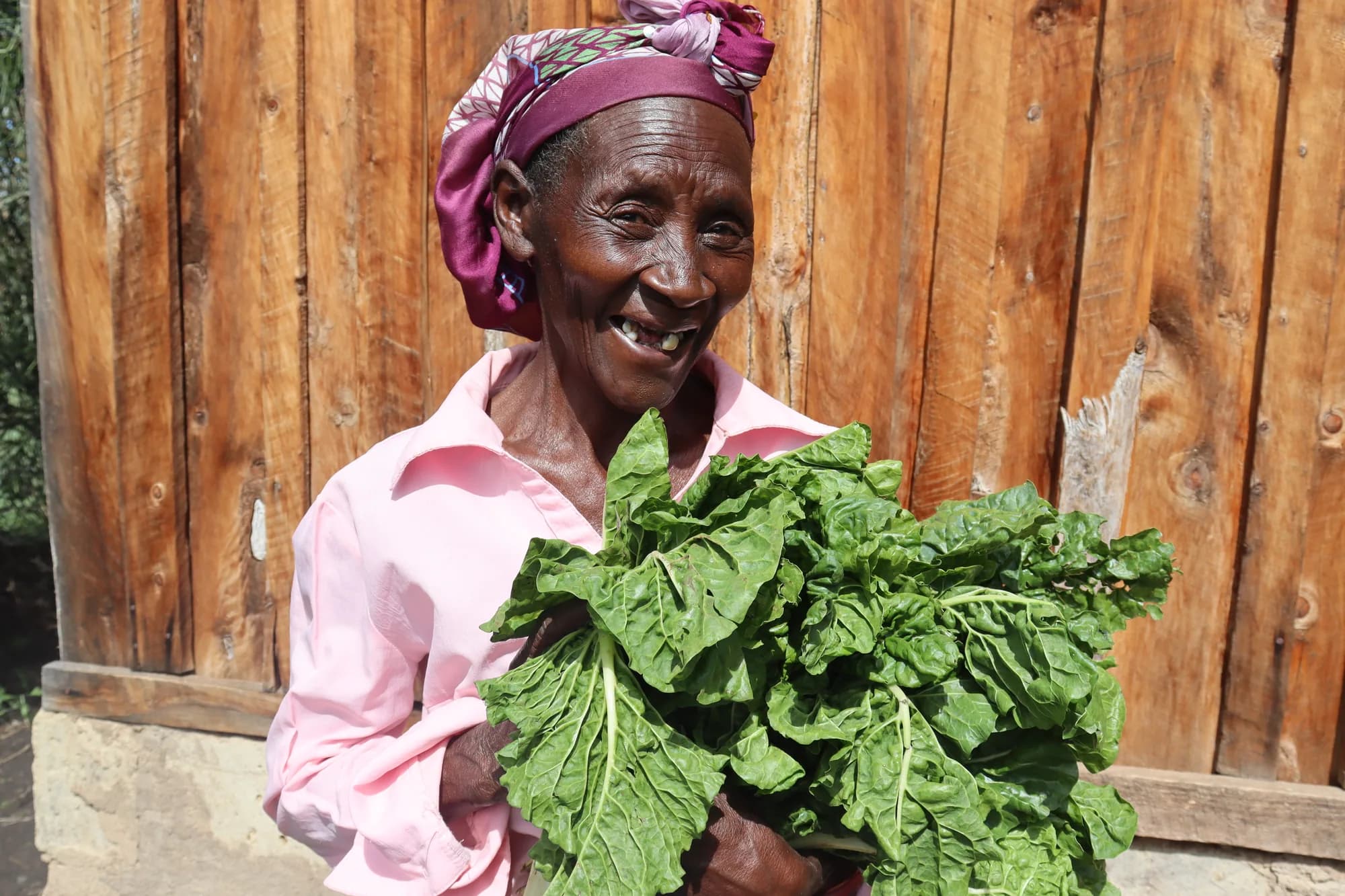 Community kitchen garden